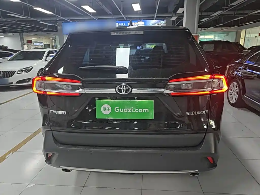 Toyota Wildlander — миниатюра 6