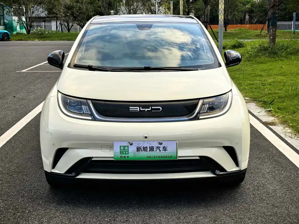 BYD Dolphin — миниатюра 2