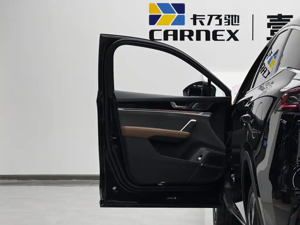 BYD Tang New Energy — миниатюра 7