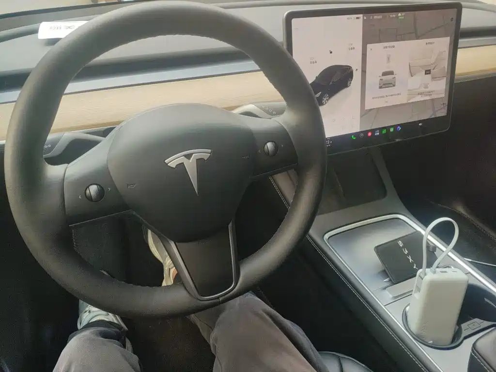 Tesla Model Y — миниатюра 10