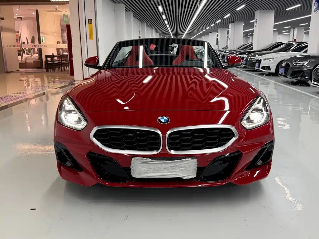 BMW Z4 — миниатюра 2