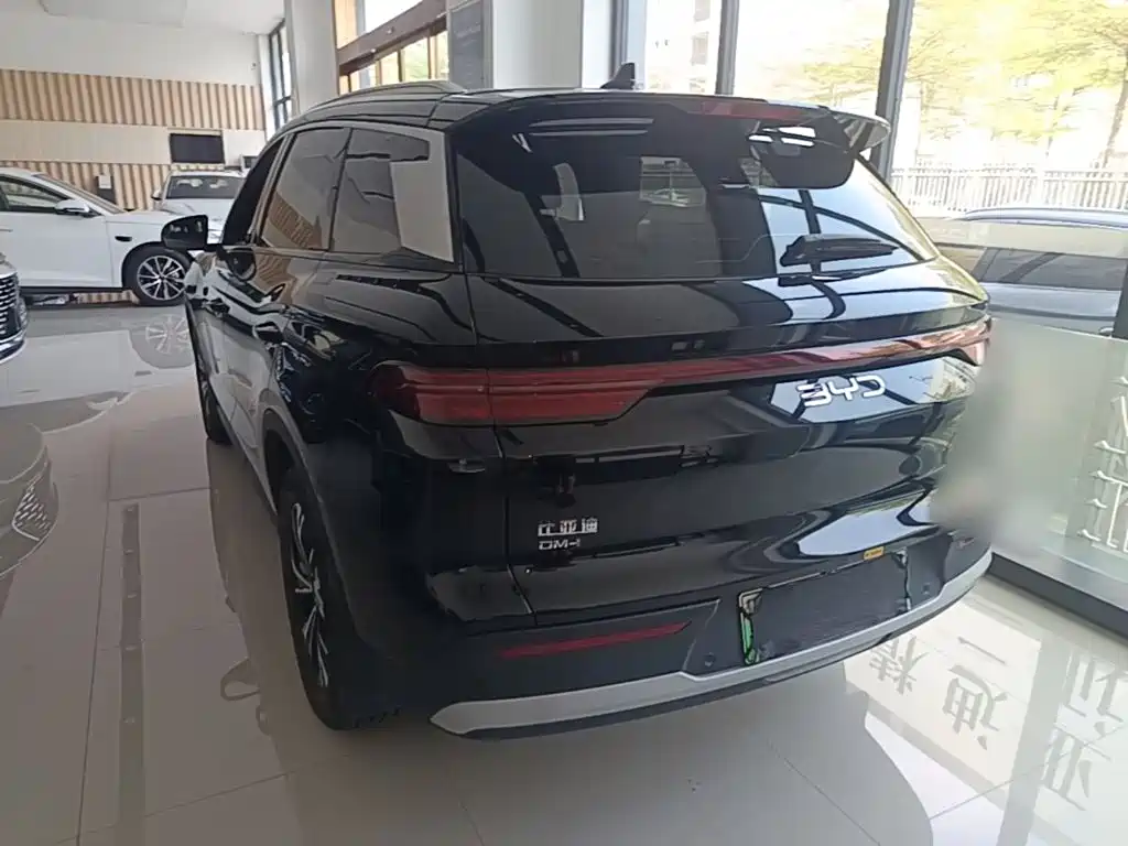 BYD Pro New Energy — миниатюра 5