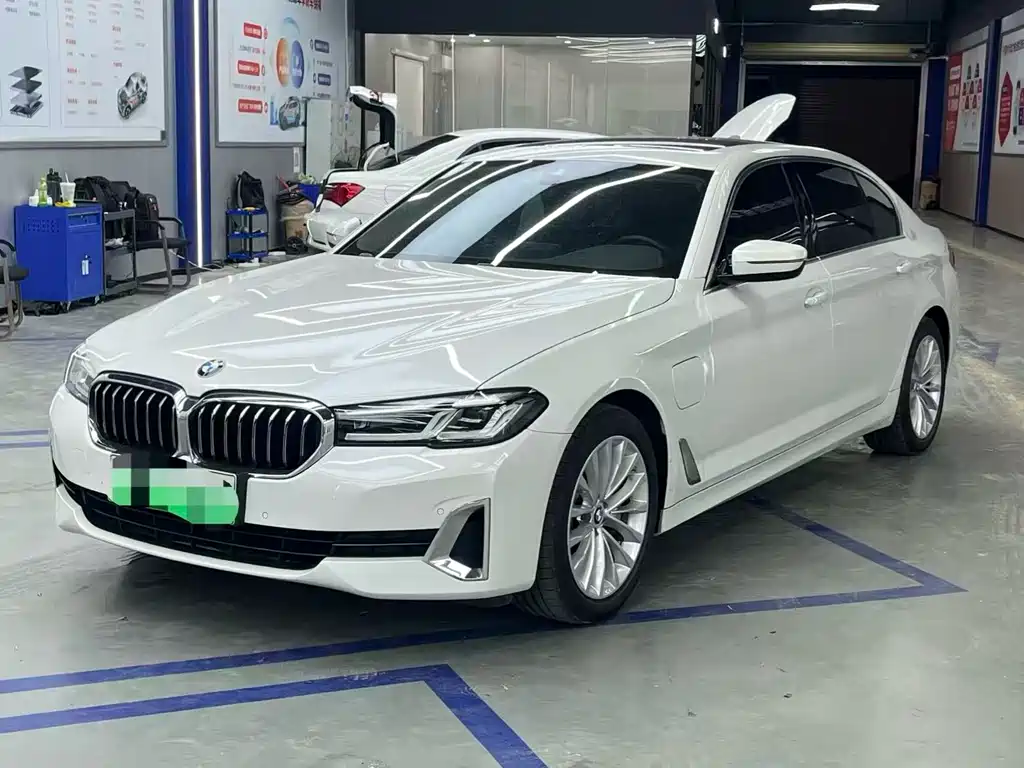BMW 5 Series New Energy 2021