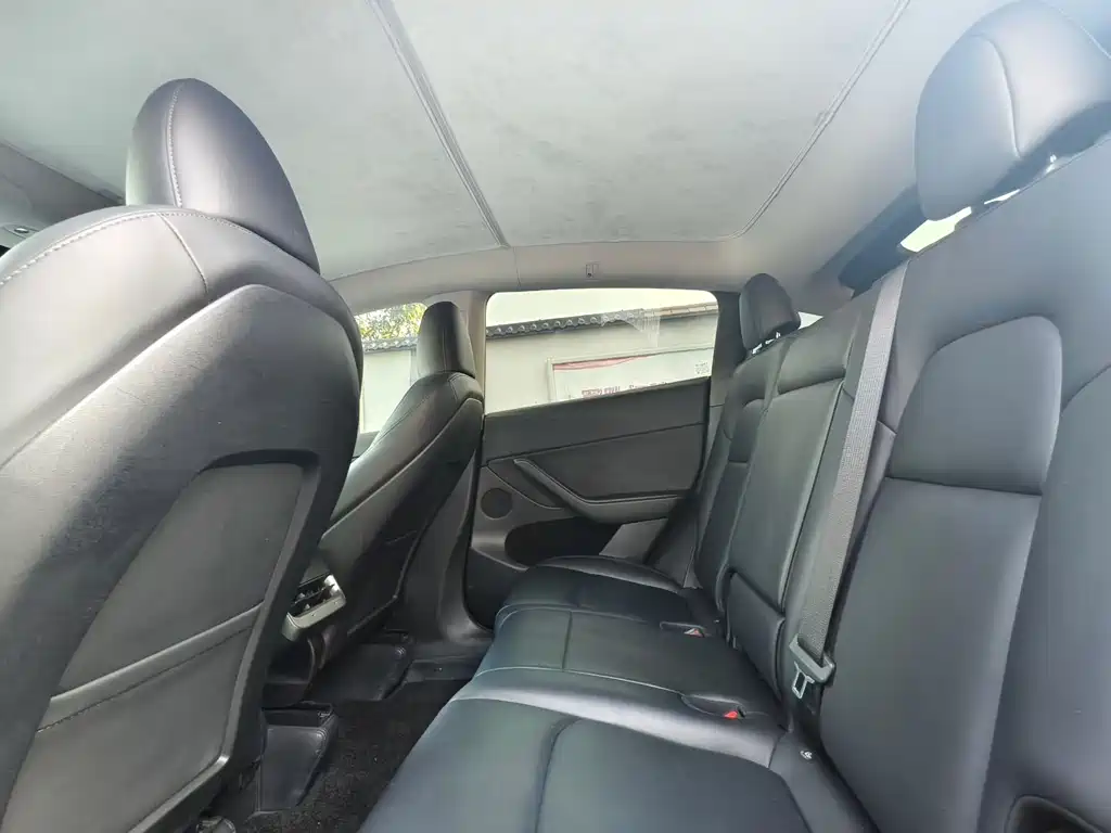 Tesla Model Y — миниатюра 6