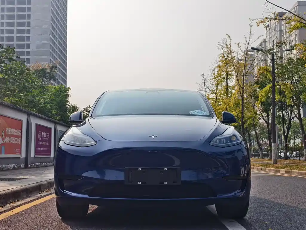 Tesla Model Y — миниатюра 2