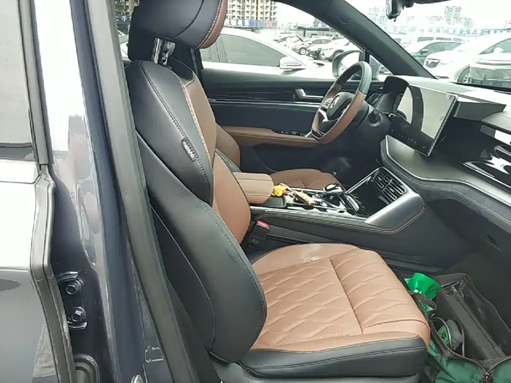 BYD Tang New Energy — миниатюра 25