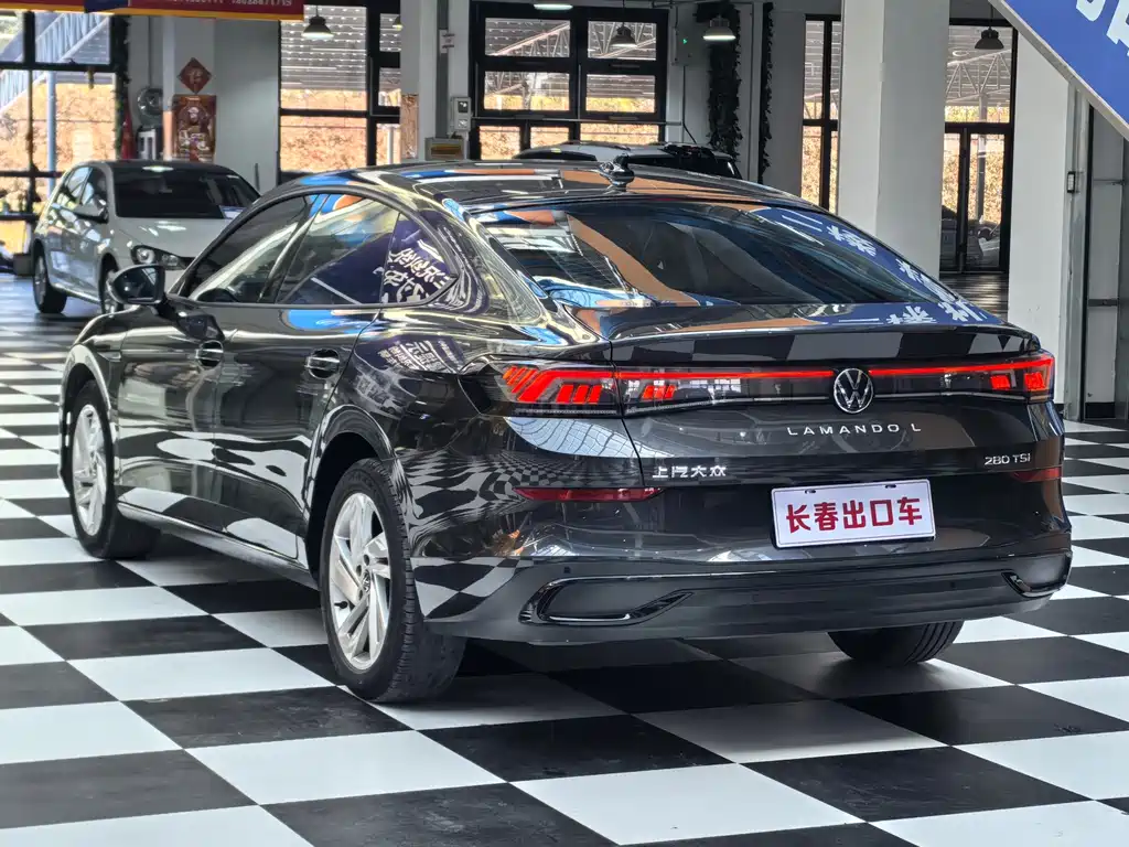 Volkswagen Lamando — миниатюра 6