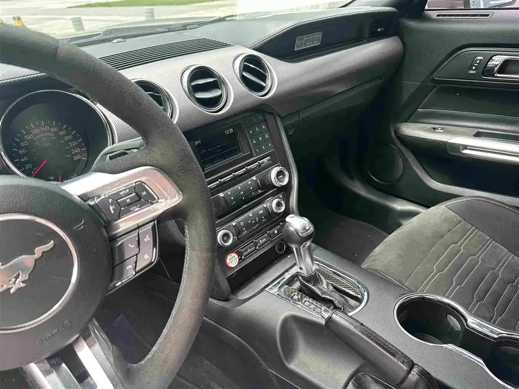 Ford Mustang — миниатюра 13