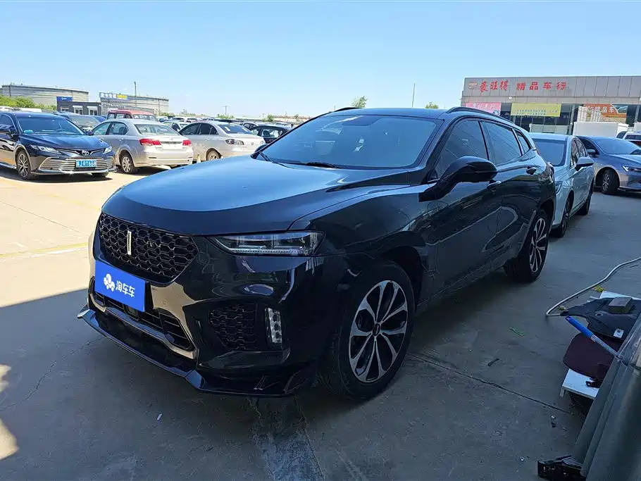 Купить Wey Wey VV7