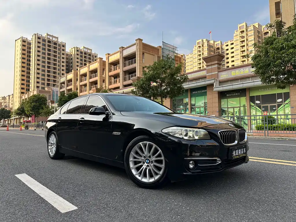 BMW 5 Series — миниатюра 3