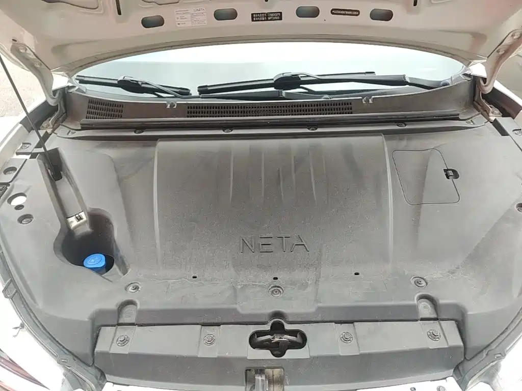Neta Neta V — миниатюра 20