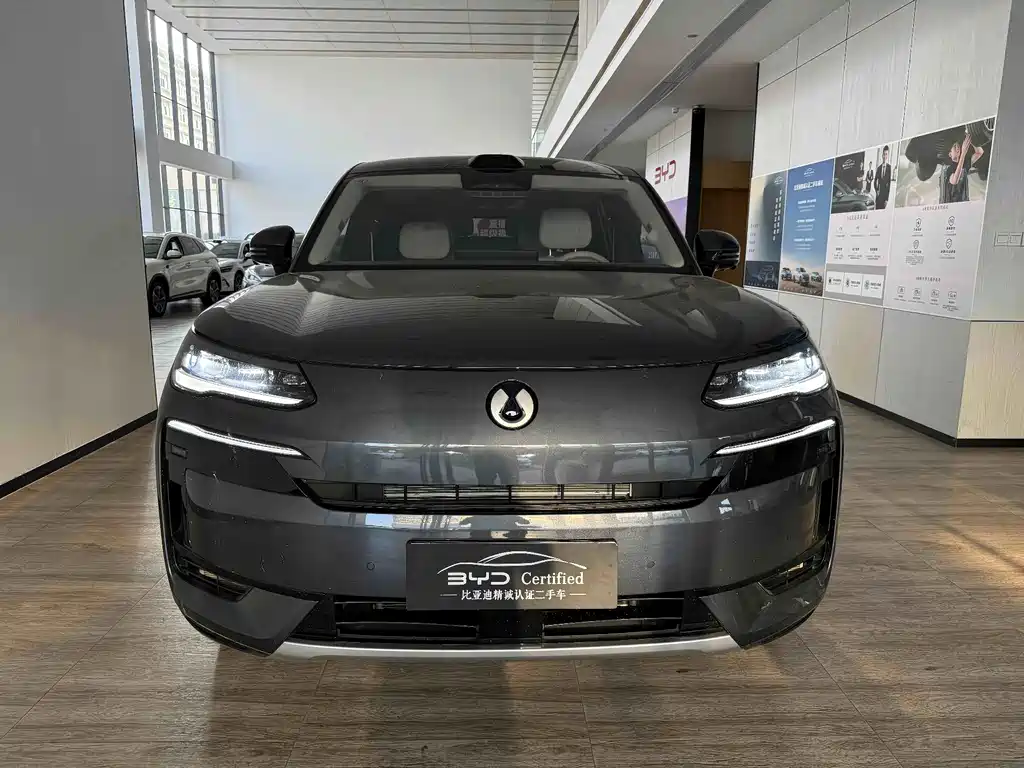 Denza Denza N9 — миниатюра 3