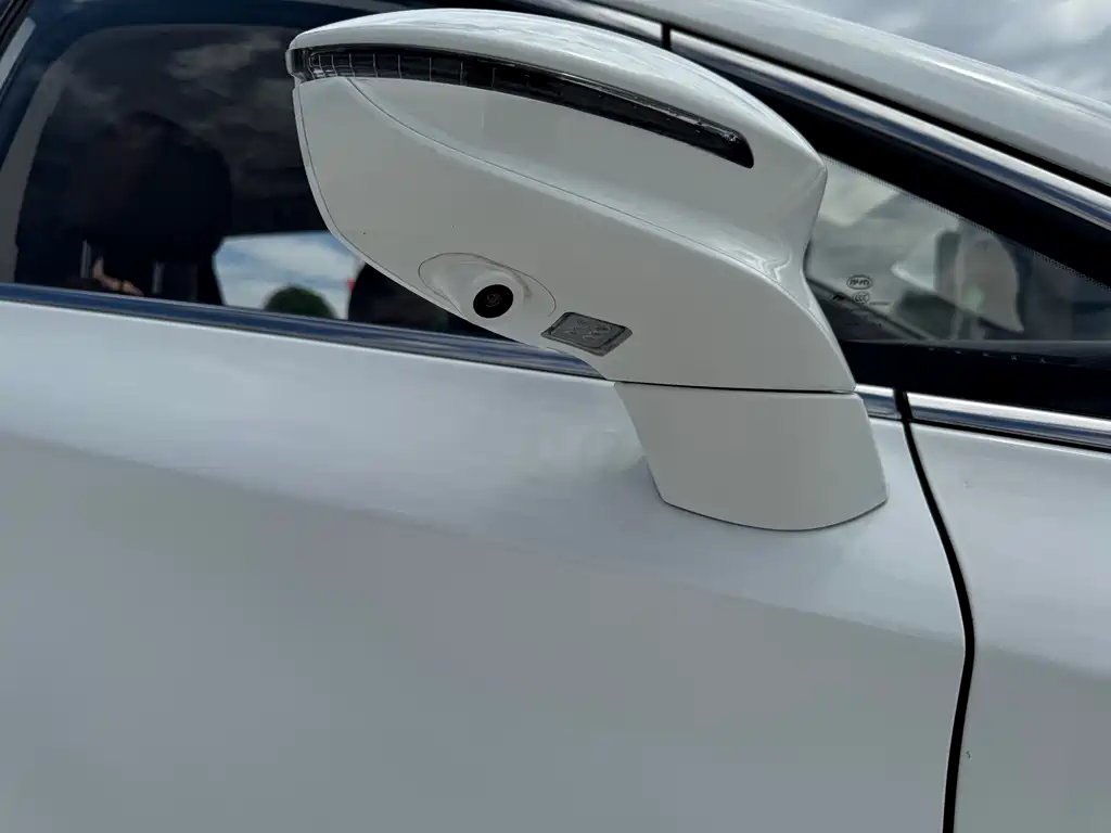 BYD MAX — миниатюра 16