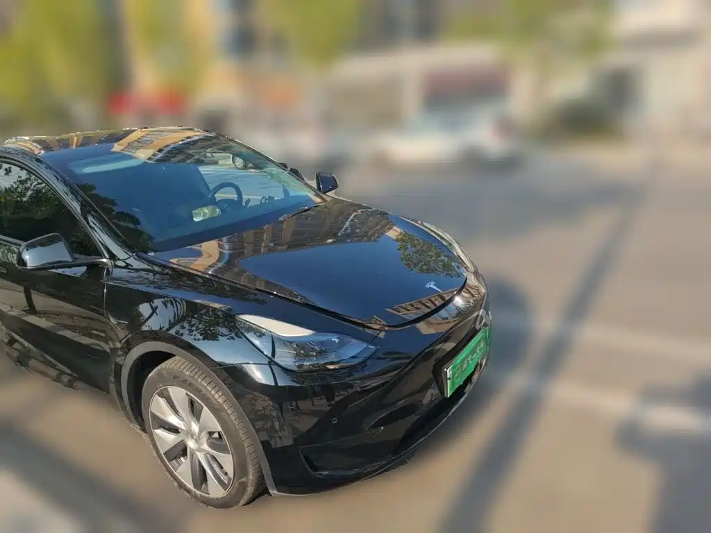 Tesla Model Y — миниатюра 3