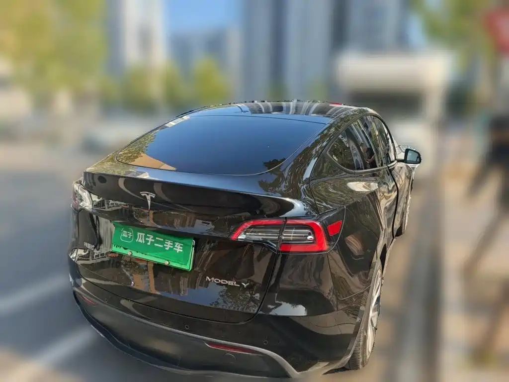 Tesla Model Y — миниатюра 6