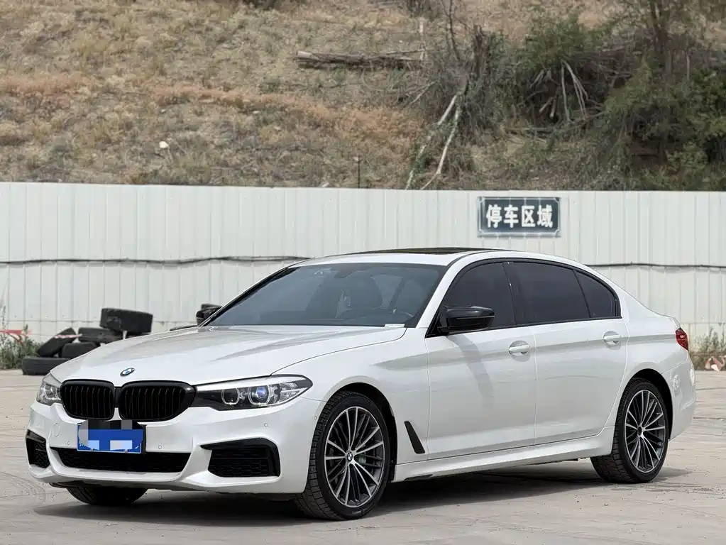 BMW 5 Series 2019