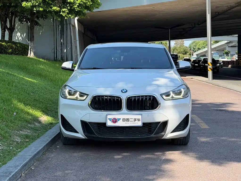 BMW X2 — миниатюра 2