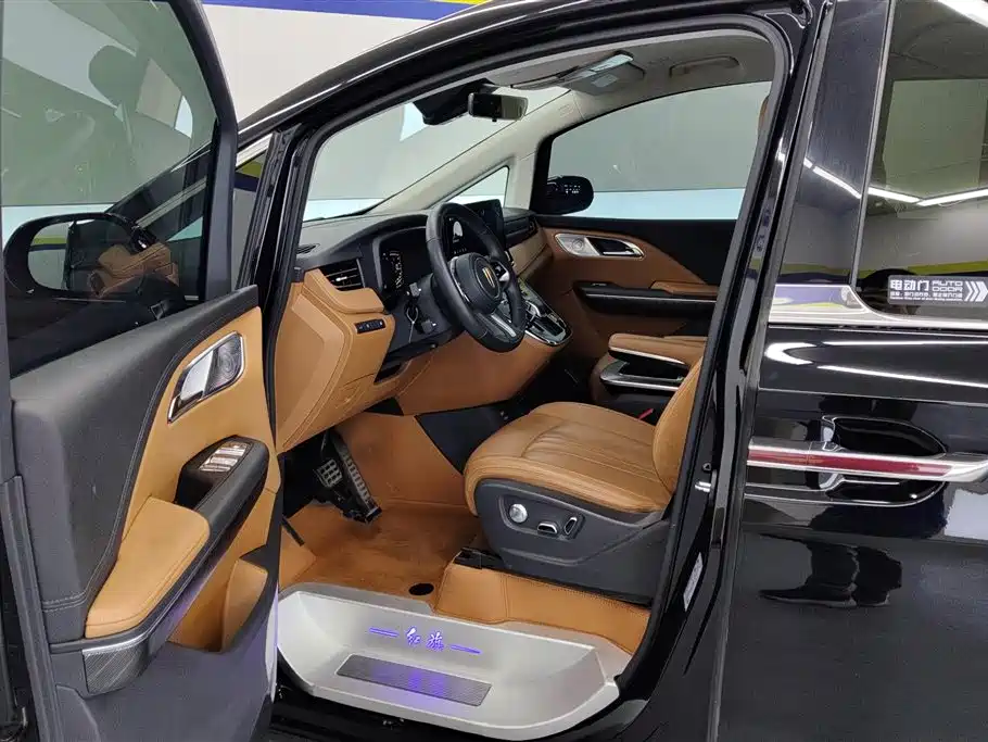 Hongqi HQ9 PHEV 2.0T 4WD Business Edition, фото 9