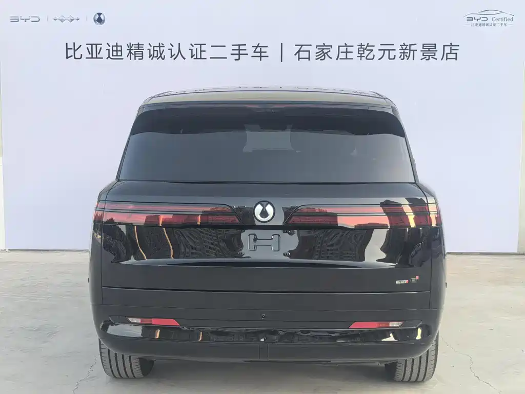Denza N9