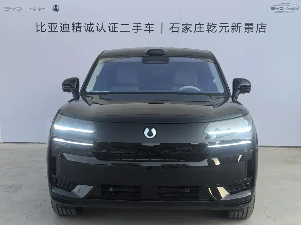 Denza N9