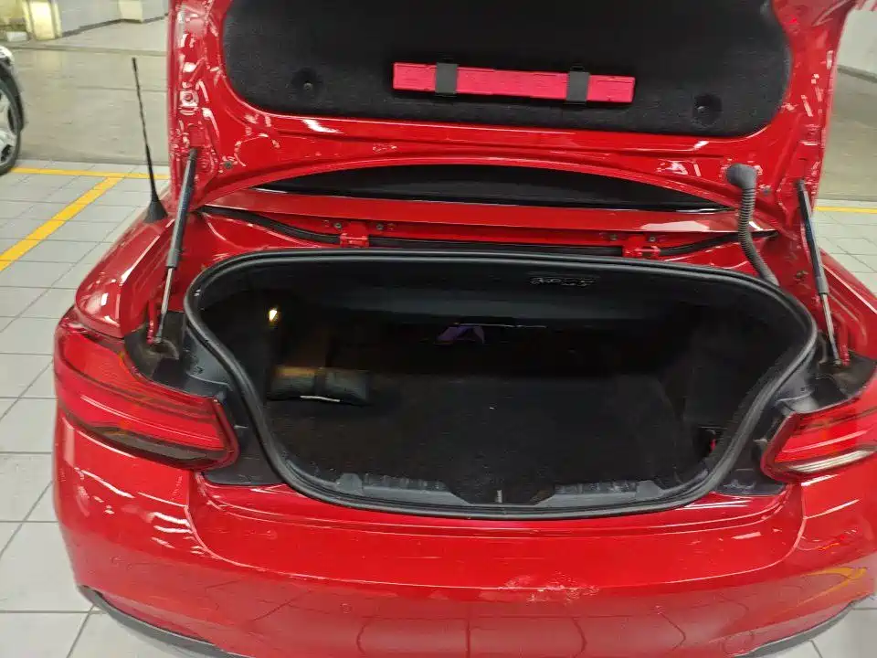 BMW 2 Series 2 2018 225i M Sport