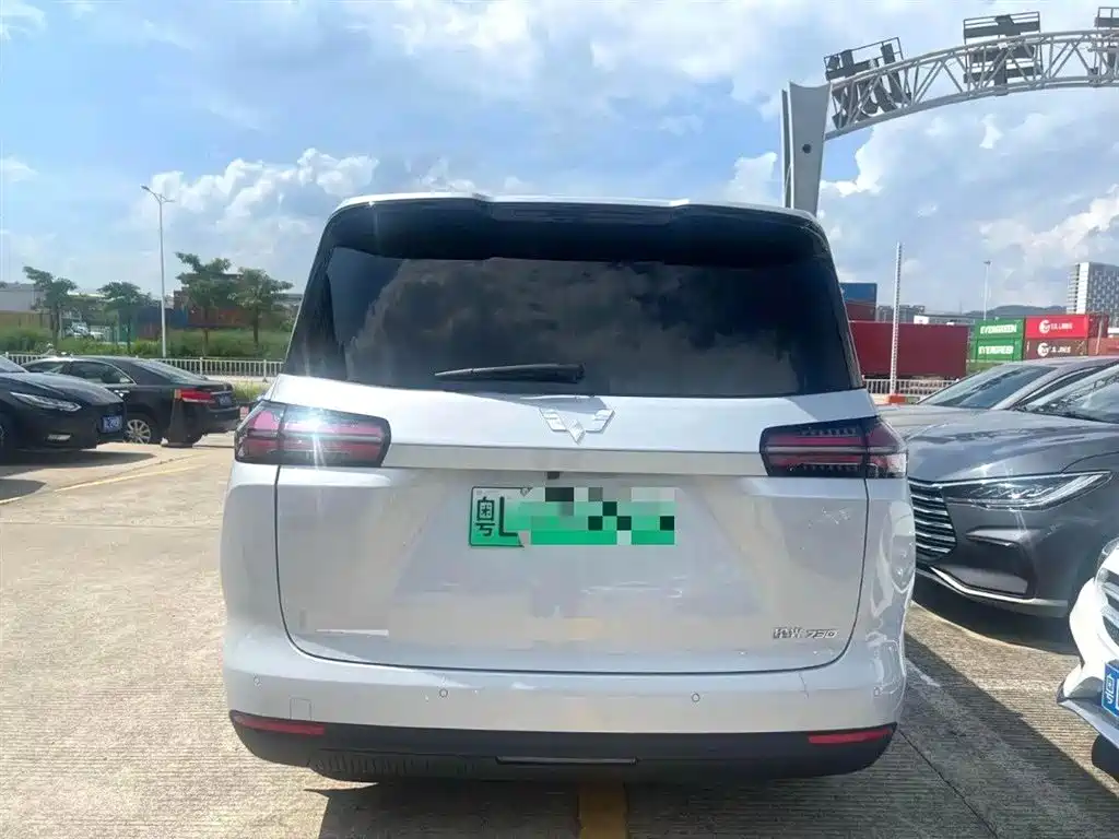 Wuling 730 2025 125km Luxury