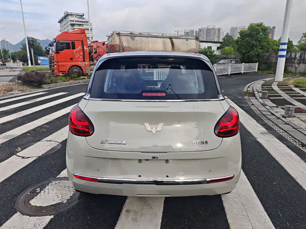 Wuling Binguo 2023 333km +