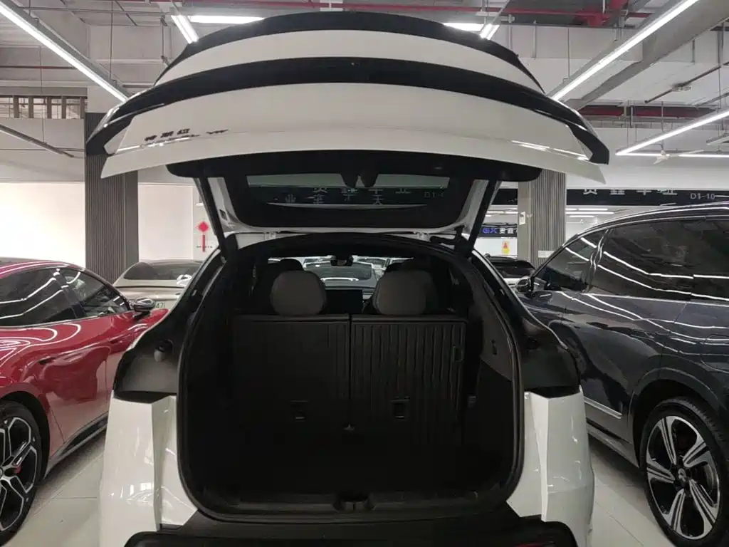 Tesla Model Y L — миниатюра 19