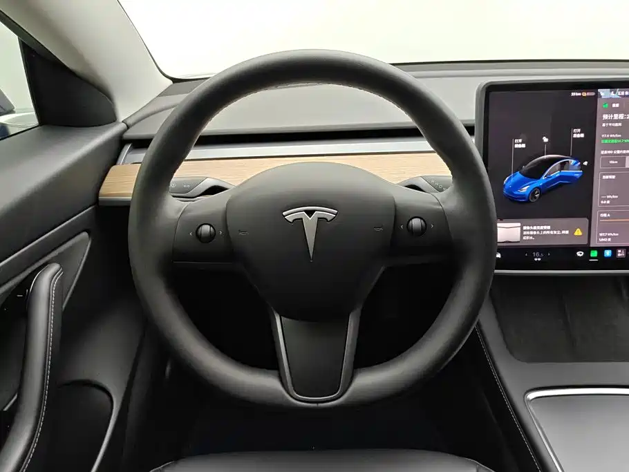 Tesla Model 3 — миниатюра 15