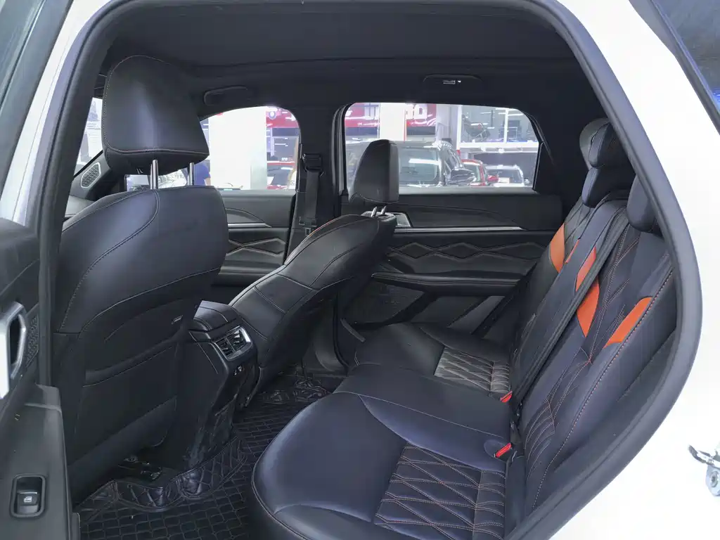 Haval Shenshou — миниатюра 8