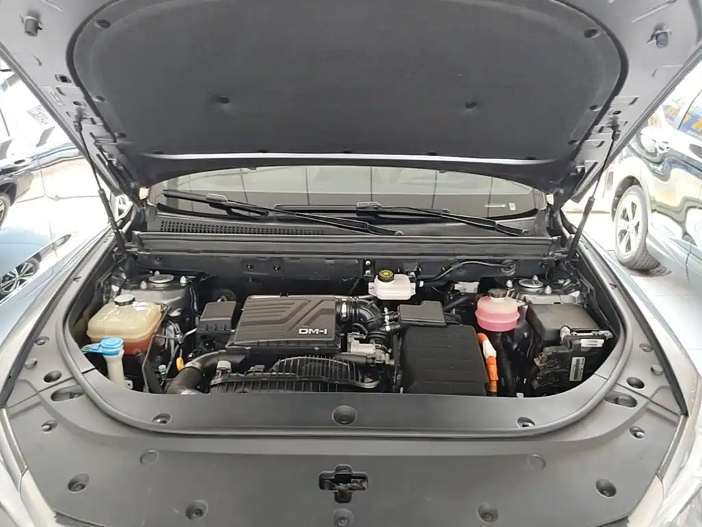 BYD Pro New Energy — миниатюра 20