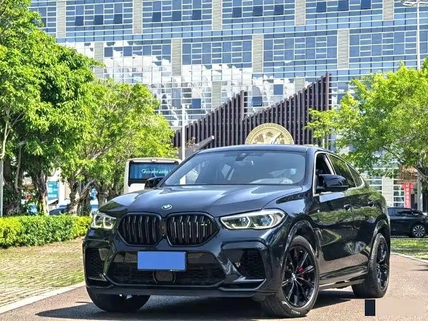 宝马X6 2020款 xDrive40i M运动套装 2020