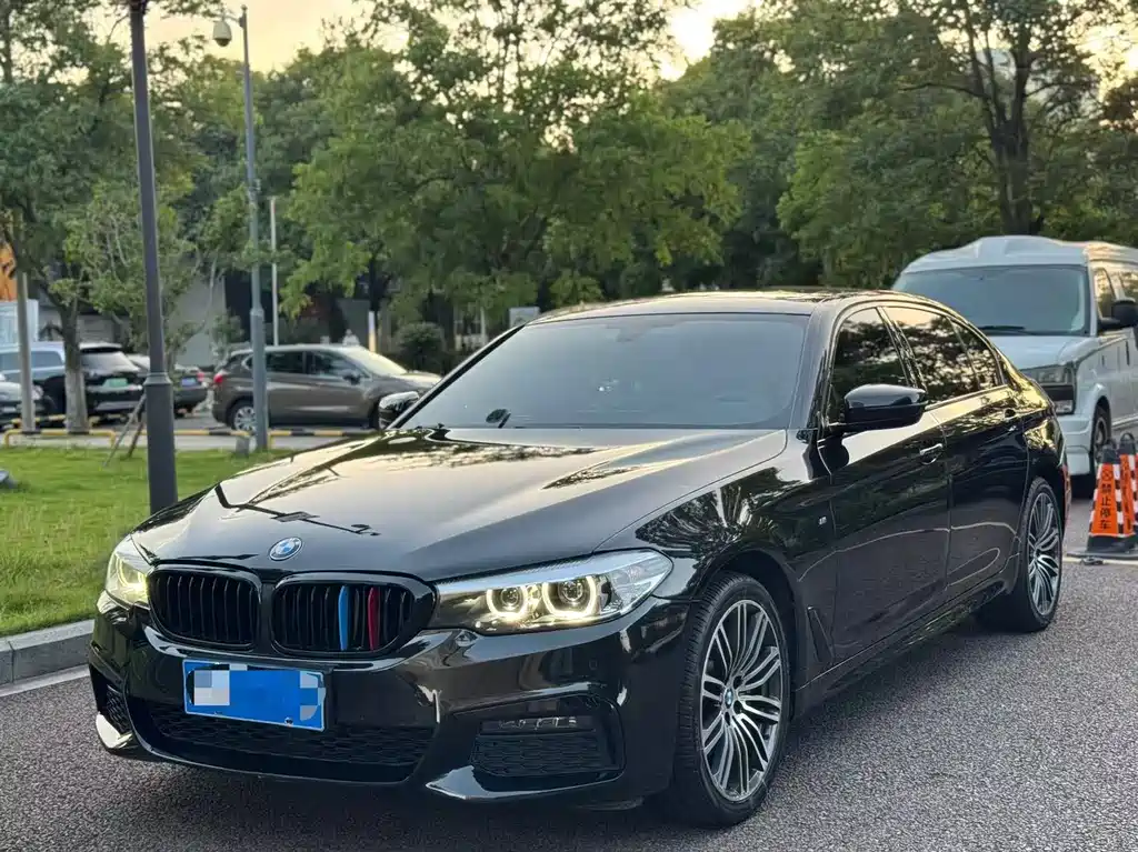 BMW 5 Series 2019