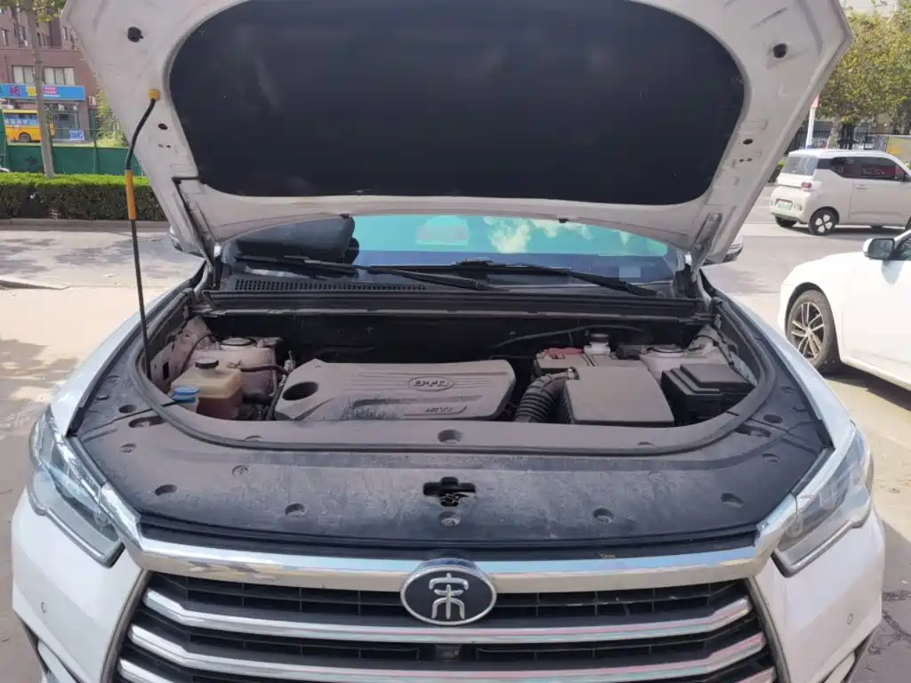 BYD Pro — миниатюра 11