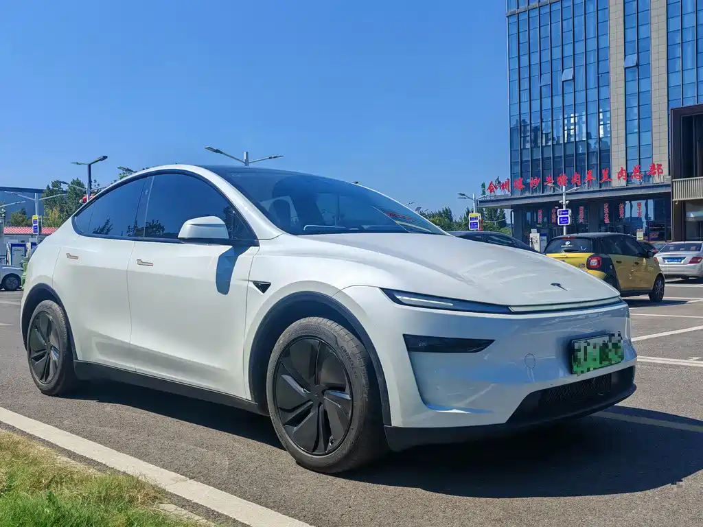 Tesla Model Y — миниатюра 3