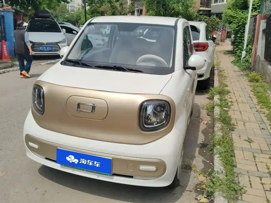 Bestune Pony 2024