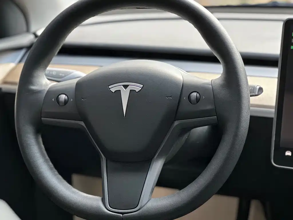 Tesla Model Y — фотографии объявления, Фото 14
