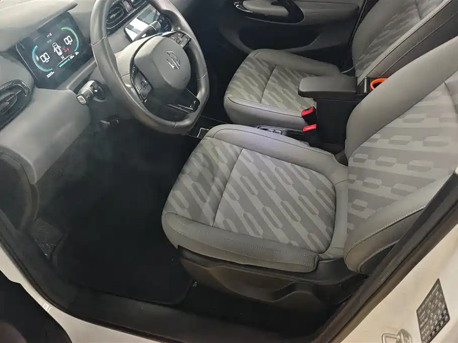 Leapmotor T03 2024 310
