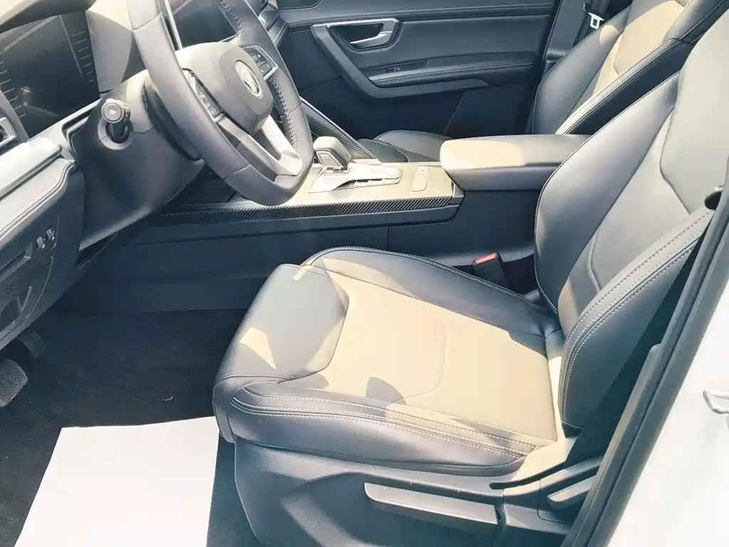 BYD Pro — миниатюра 4