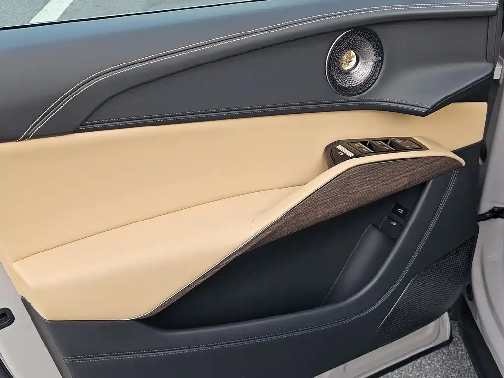 LOTUS SPORTS CAR ELETRE