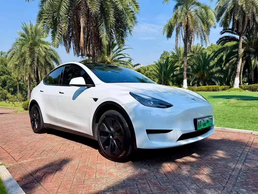 Tesla Model Y — миниатюра 3