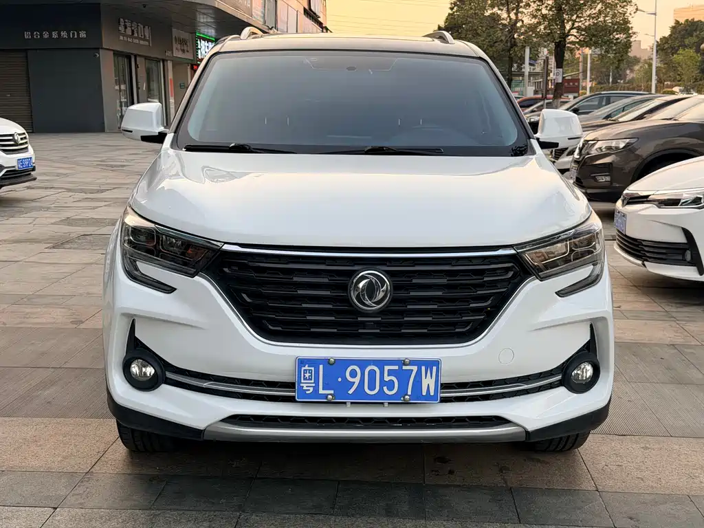 DONGFENG POPULAR T5