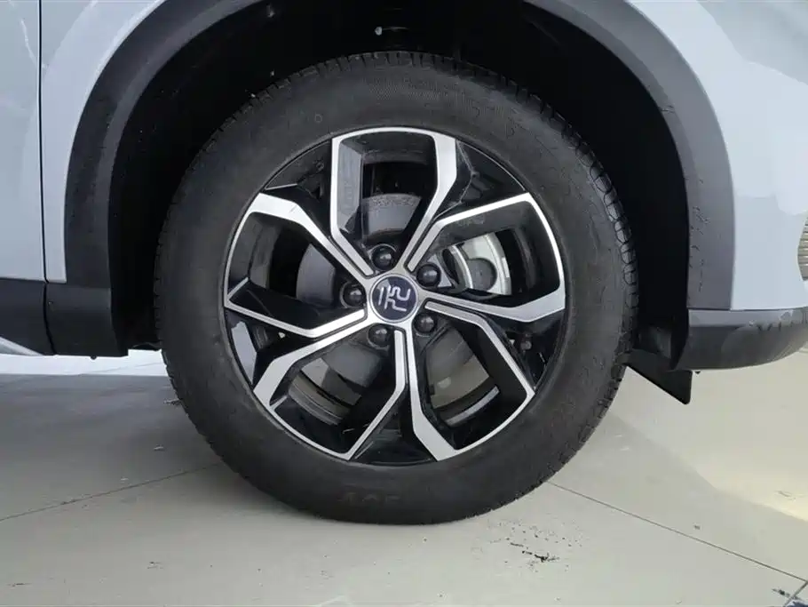 BYD Yuan Plus PLUS 2022 510KM