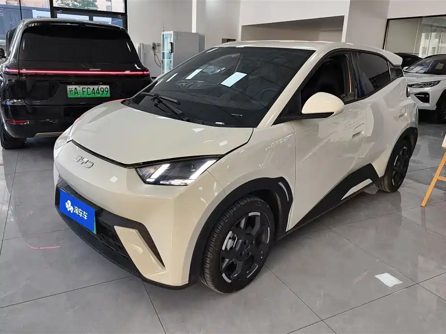 Byd Seagull 2025
