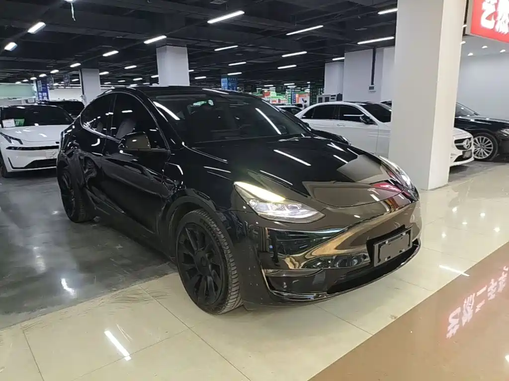Tesla Model Y — миниатюра 4