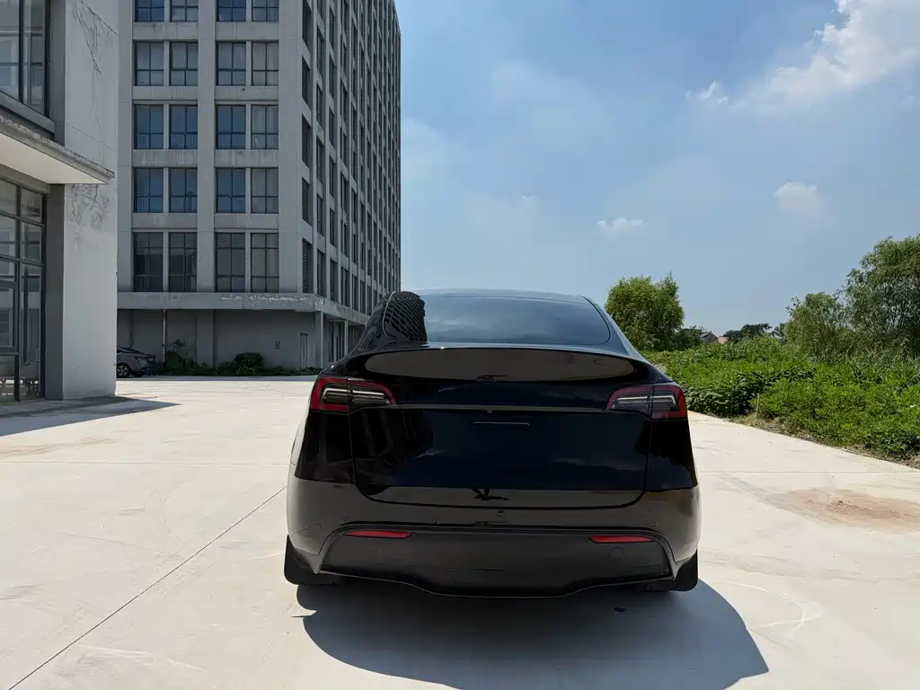 Tesla Model Y — миниатюра 8