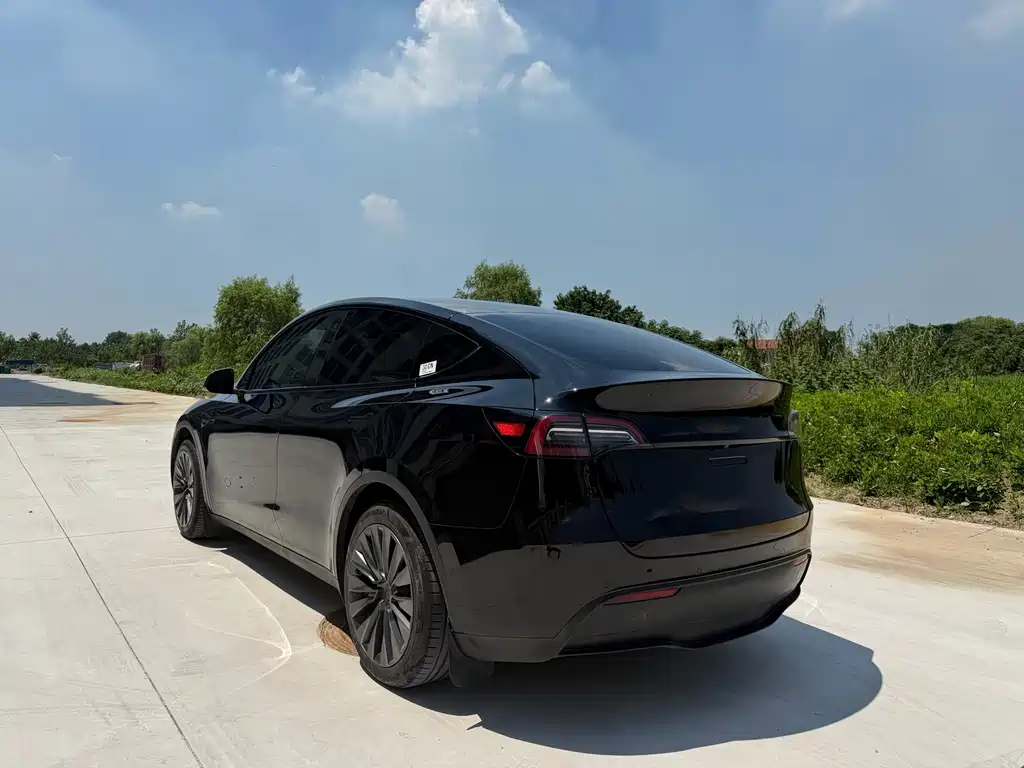Tesla Model Y — миниатюра 7