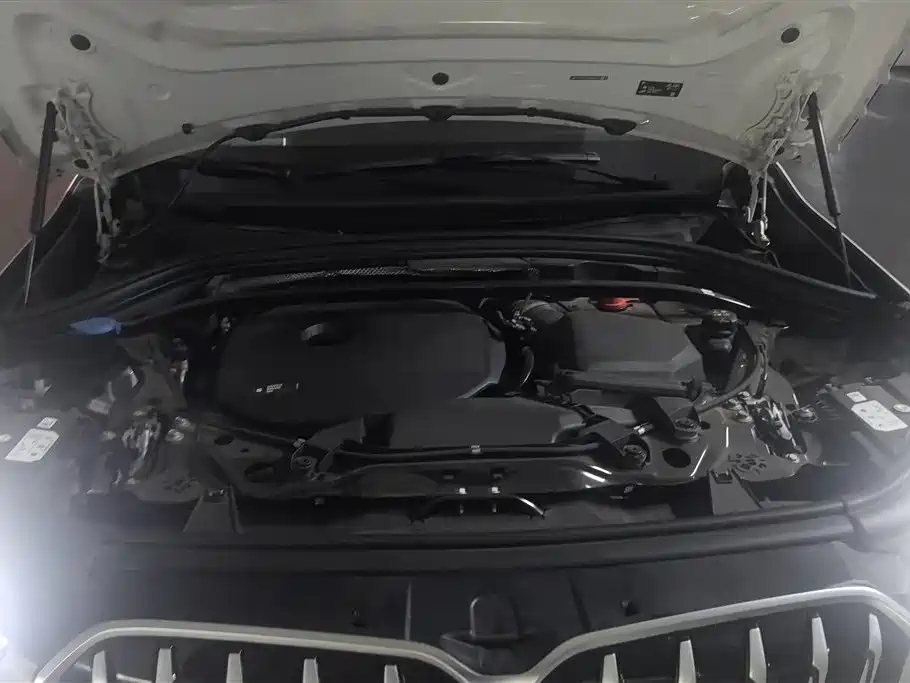 BMW X1 2024 sDrive25Li X