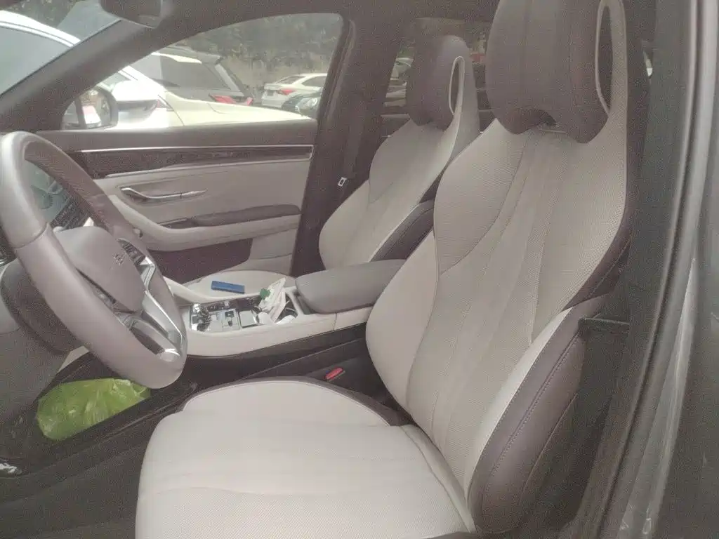 BYD PLUS New Energy — миниатюра 8