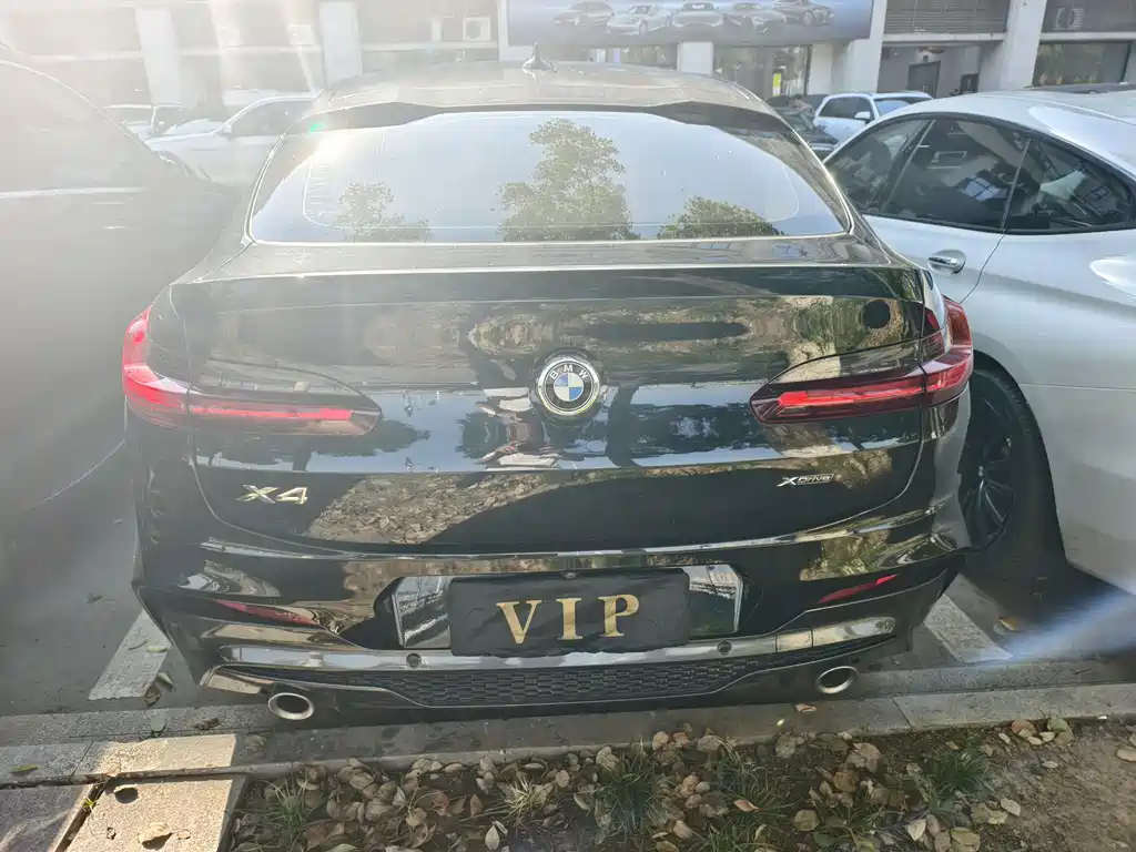 BMW X4 2020 xDrive25i M Sport